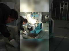 Fish Feed Pet Food Extruder Machine