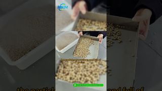 DGP-85 Линия по производству кормовых пеллет для рыб | Введение и полная демонстрация процесса#fishfeedproductionline