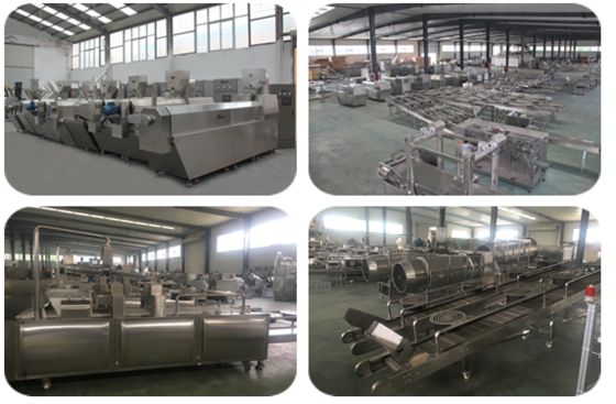 Двигатель WEG / Siemens для машины по производству лакомств для животных с добавлением различных компонентов