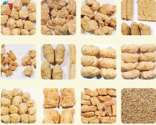 Текстурированная штрангпресса легкой закускы волокна линия вегетарианского отростчатая, уникально конструкция, обслуживания 5-stars