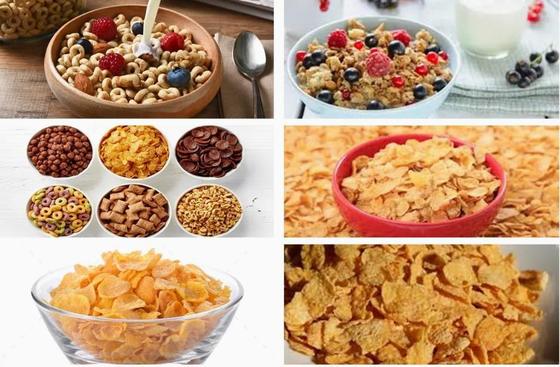 Новая линия по переработке кукурузных хлопьев из нержавеющей стали